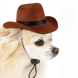 hundehatt, hundecowboyhatt, kjæledyrlue