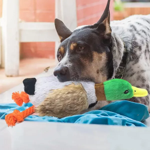 hundetyggeleke, knirkende leke, plysjand, andeleke