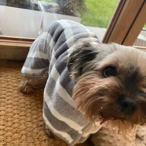 Mottatt Absorberende Badekåpe for Hund fra kunde H***h.