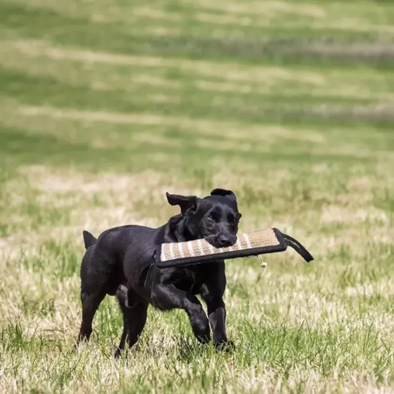 Hundeleke, Tyggeleke for Hund, Bitleke for Hund