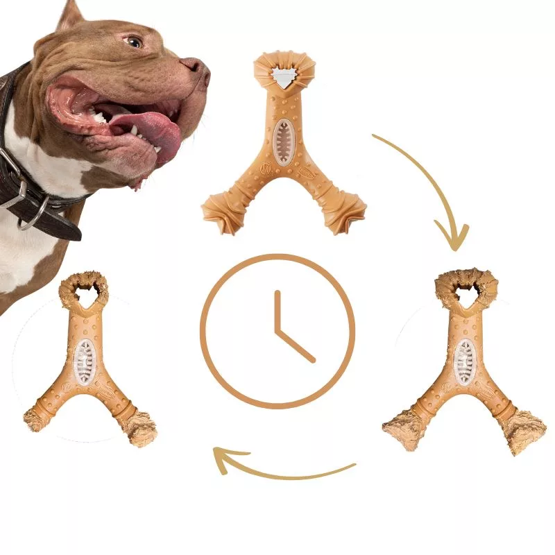 uforgjengelig hundeleketøy, tyggepinne for hund, hundeleketøy i tre, tannrengjøringsleketøy for hund