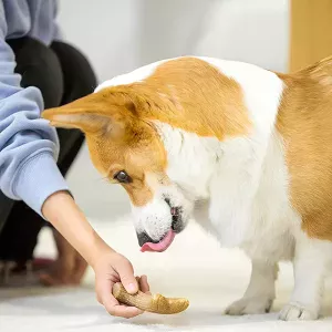 tyggeleketøy for hund, tyggepinne for hund, tyggeleketøy av tre, tyggeleketøy av hjortegevir