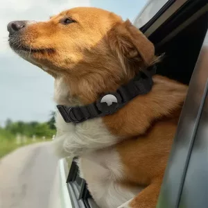 airtag hundehalsbånd, taktisk hundehalsbånd, vanntett hundehalsbånd, hundehalsbånd med håndtak, hundehalsbånd med airtagholder, militært hundehalsbånd