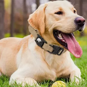 airtag hundehalsbånd, taktisk hundehalsbånd, vanntett hundehalsbånd, hundehalsbånd med håndtak, hundehalsbånd med airtagholder, militært hundehalsbånd