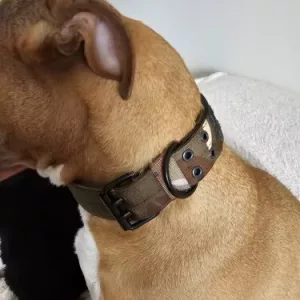 Mottok Justerbart Taktisk Hundehalsbånd fra kunde X****x.