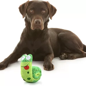 dog squeak toy, dog snuffle toy