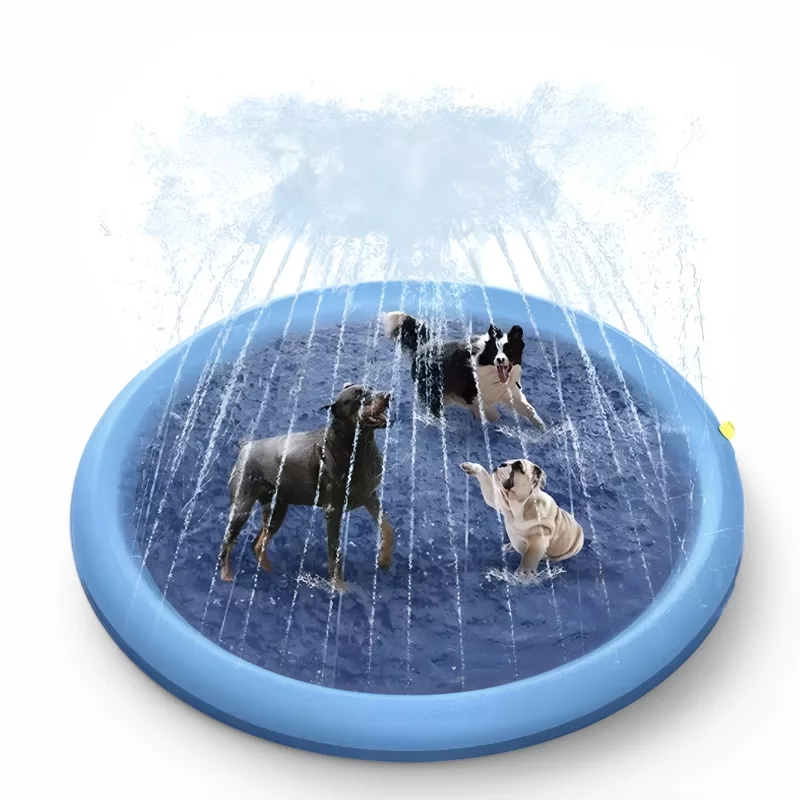 dog splash pad