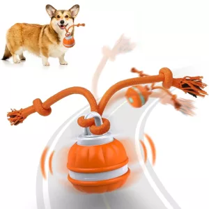 dog ball, rolling ball, dog interactive toy, automatic dog ball