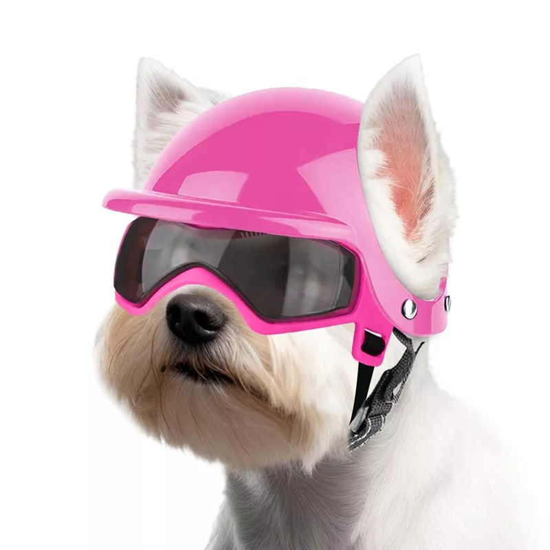 dog goggles, dog helmet, dog motorcycle helmet