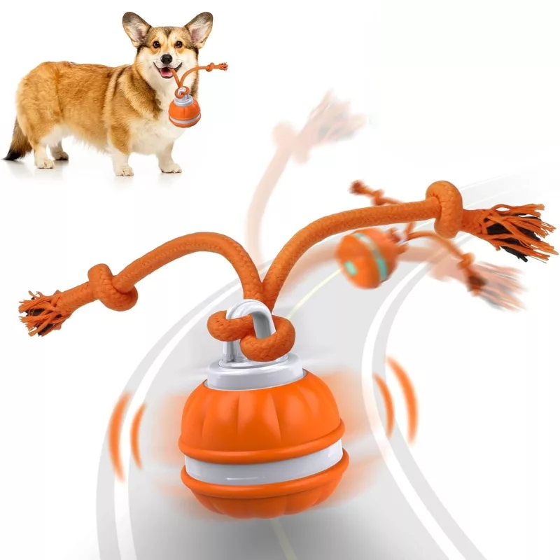 dog ball, rolling ball, dog interactive toy, automatic dog ball