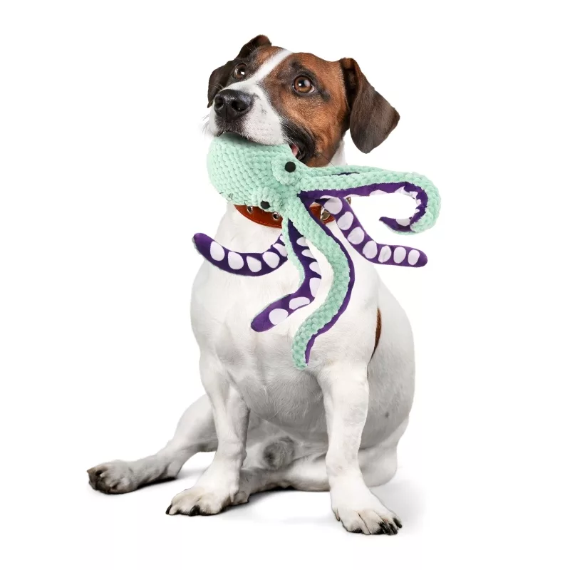 chew toy, dog squeaky toy, plush toy for dog, squeaky octopus dog toy