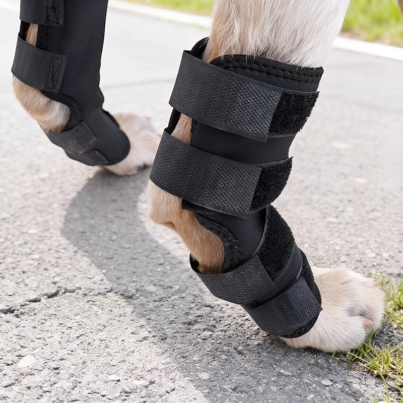 dog leg brace, dog knee brace, dog hock brace, dog knee support, dog leg wrap