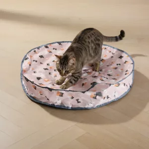 play pouch for cats, hide and seek pouch for cats