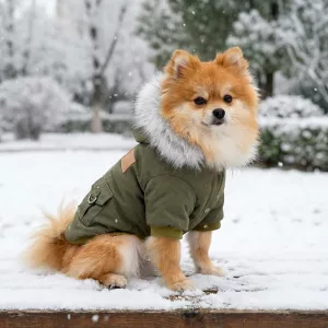 warm dog jacket, insulated dog coat, cold weather dog jacket