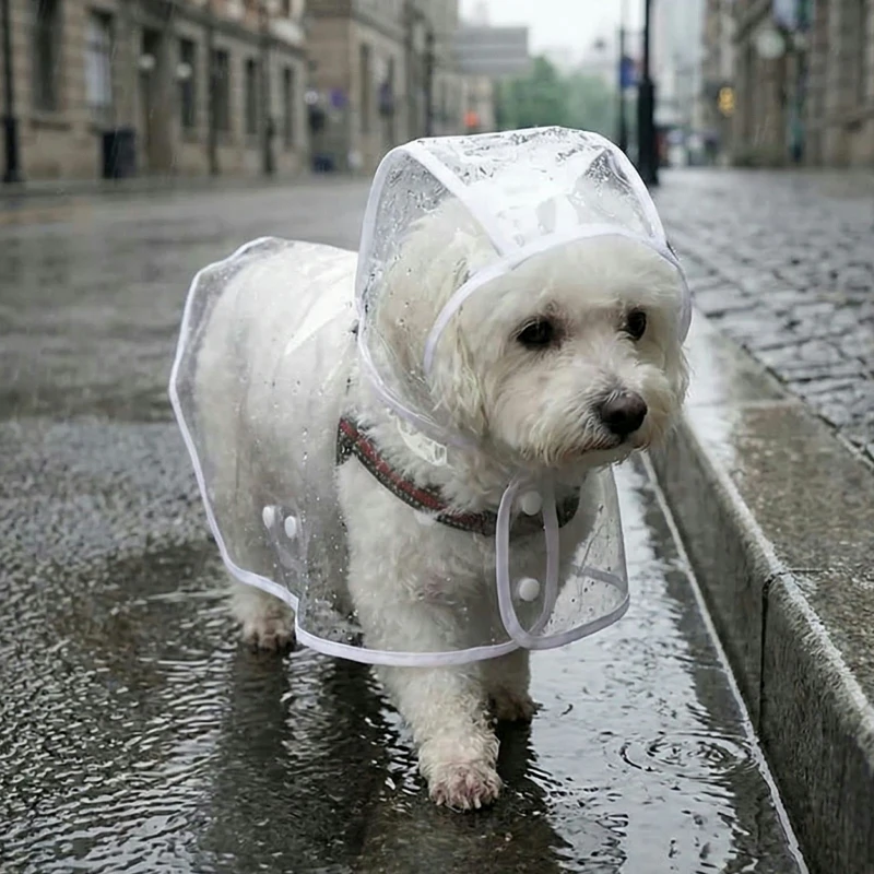 clear dog raincoat with hood