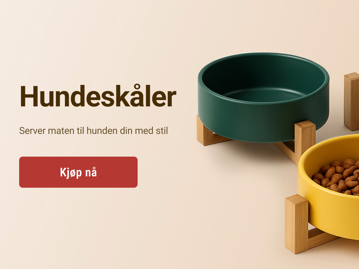 slide-1